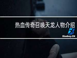 热血传奇召唤天龙人物介绍