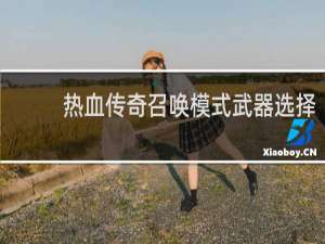 热血传奇召唤模式武器选择