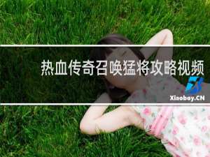 热血传奇召唤猛将攻略视频