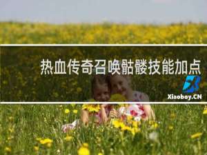 热血传奇召唤骷髅技能加点