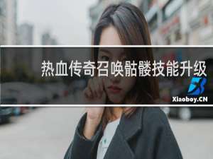热血传奇召唤骷髅技能升级