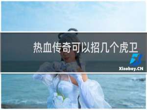 热血传奇可以招几个虎卫