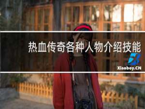 热血传奇各种人物介绍技能