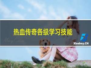 热血传奇各级学习技能