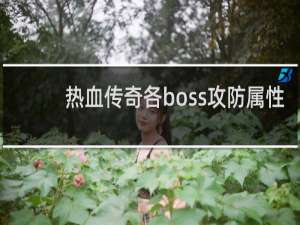 热血传奇各boss攻防属性