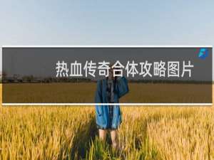 热血传奇合体攻略图片