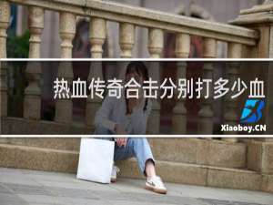 热血传奇合击分别打多少血