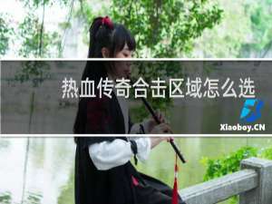 热血传奇合击区域怎么选