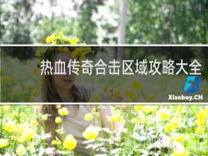 热血传奇合击区域攻略大全