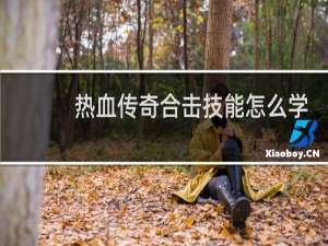 热血传奇合击技能怎么学