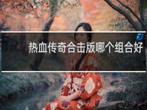 热血传奇合击版哪个组合好