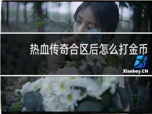 热血传奇合区后怎么打金币