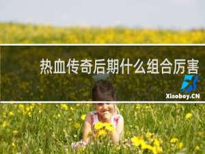 热血传奇后期什么组合厉害
