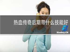 热血传奇后期带什么技能好