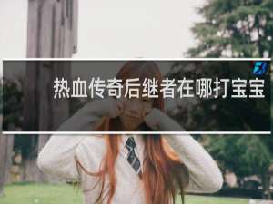 热血传奇后继者在哪打宝宝