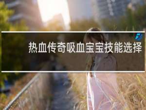 热血传奇吸血宝宝技能选择