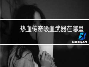 热血传奇吸血武器在哪里