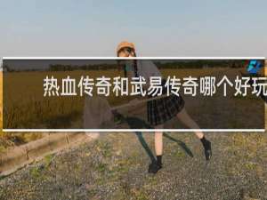 热血传奇和武易传奇哪个好玩