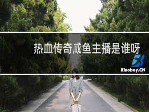 热血传奇咸鱼主播是谁呀