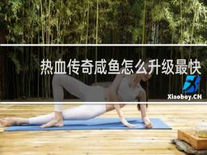 热血传奇咸鱼怎么升级最快