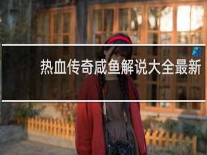 热血传奇咸鱼解说大全最新