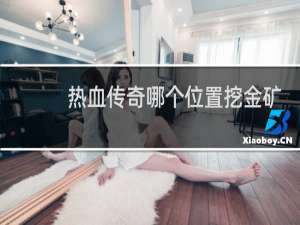 热血传奇哪个位置挖金矿