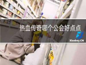 热血传奇哪个公会好点点