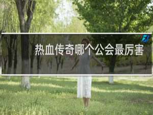 热血传奇哪个公会最厉害