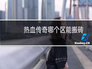 热血传奇哪个区能搬砖