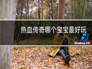 热血传奇哪个宝宝最好玩