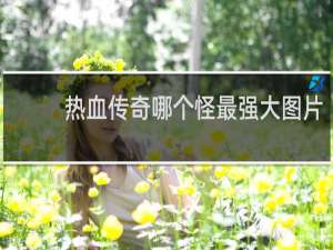 热血传奇哪个怪最强大图片
