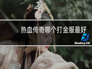 热血传奇哪个打金服最好