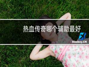 热血传奇哪个辅助最好