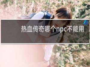 热血传奇哪个npc不能用