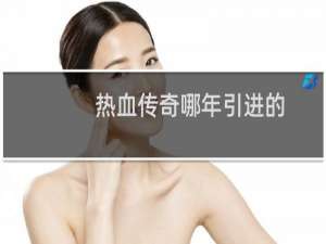 热血传奇哪年引进的