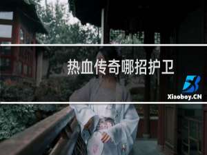 热血传奇哪招护卫