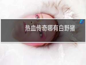 热血传奇哪有白野猪