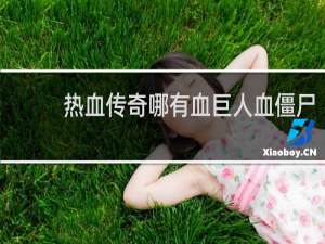 热血传奇哪有血巨人血僵尸