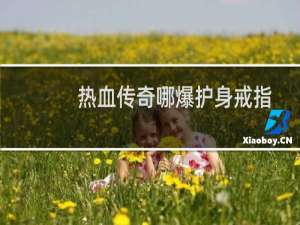 热血传奇哪爆护身戒指