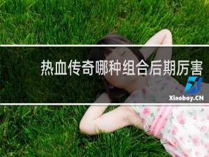 热血传奇哪种组合后期厉害