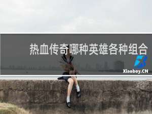 热血传奇哪种英雄各种组合
