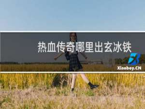 热血传奇哪里出玄冰铁