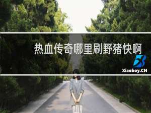 熱血傳奇哪里刷野豬快啊