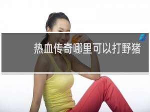 热血传奇哪里可以打野猪