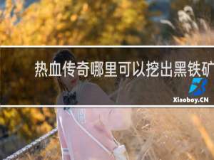 热血传奇哪里可以挖出黑铁矿