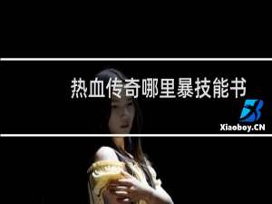 热血传奇哪里暴技能书