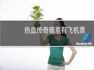 热血传奇哪里有飞机票