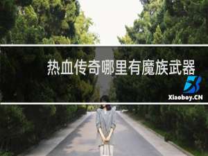 热血传奇哪里有魔族武器