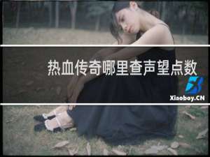 热血传奇哪里查声望点数