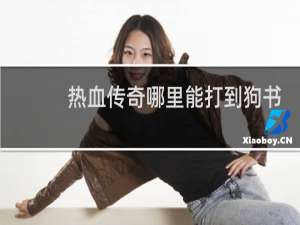 热血传奇哪里能打到狗书